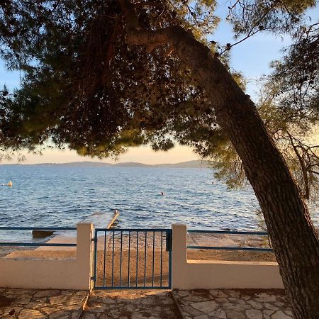 Seaside Apartment Padre Bibinje Zewnętrze zdjęcie
