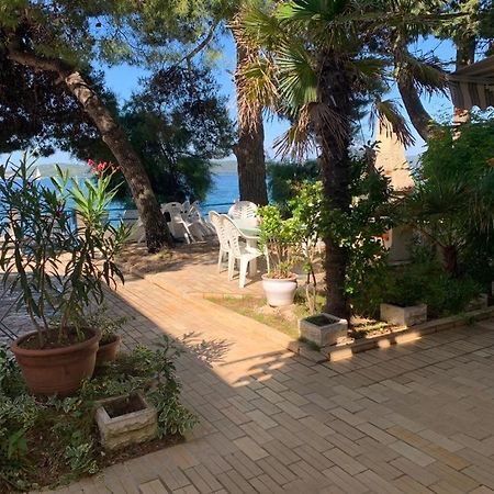 Seaside Apartment Padre Bibinje Zewnętrze zdjęcie