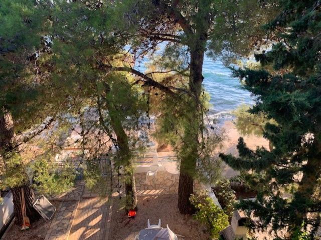 Seaside Apartment Padre Bibinje Zewnętrze zdjęcie